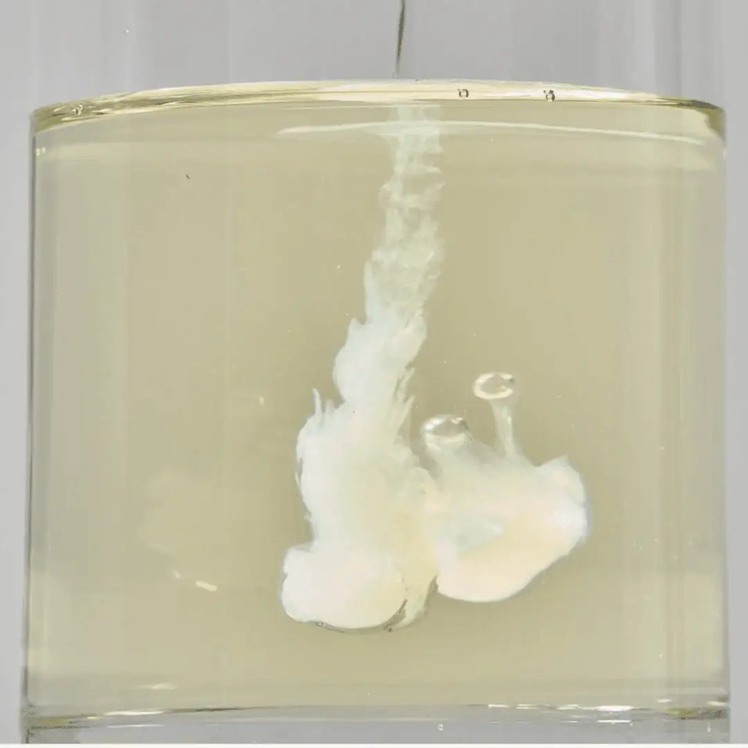 ROUND LAB Soybean Cleansing Oil 200ml