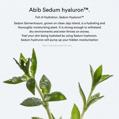 Abib Sedum Hyaluron Crème Hydrating Pot 80ml