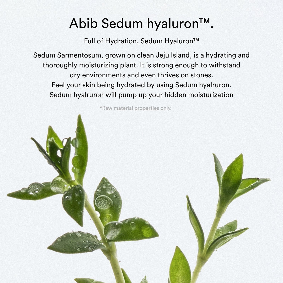 Abib Sedum Hyaluron Pad Hydrating Touch 75 pads