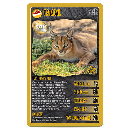 Top Trumps Awesome Animals Card Game