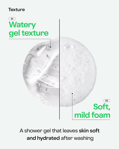 HOLIKA HOLIKA Aloe 92% Shower Gel 250ml