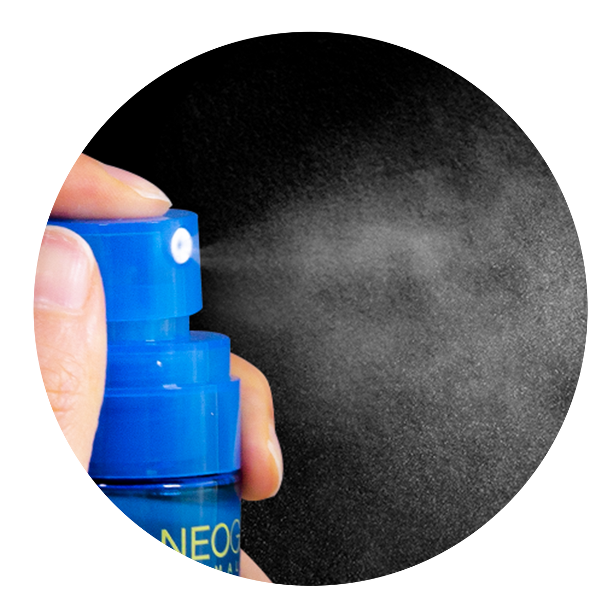 NEOGEN Dermalogy All Day Locking Fixer 80ml