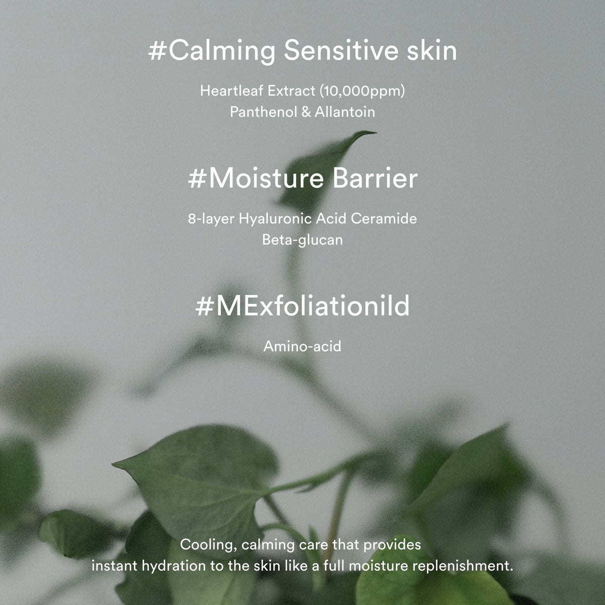 Abib Heartleaf Crème Calming Tube 75ml