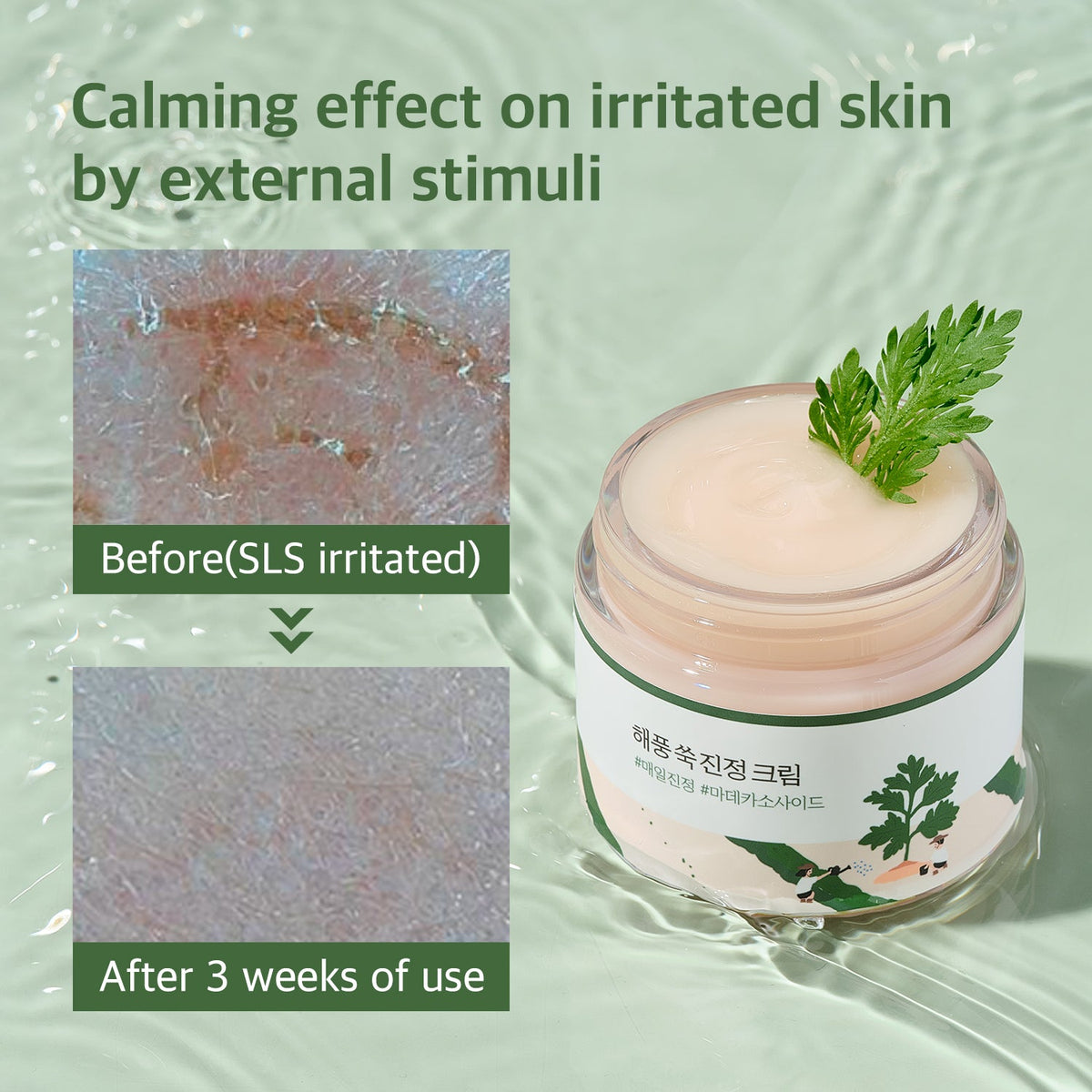 ROUND LAB Mugwort Calming Cream 80ml
