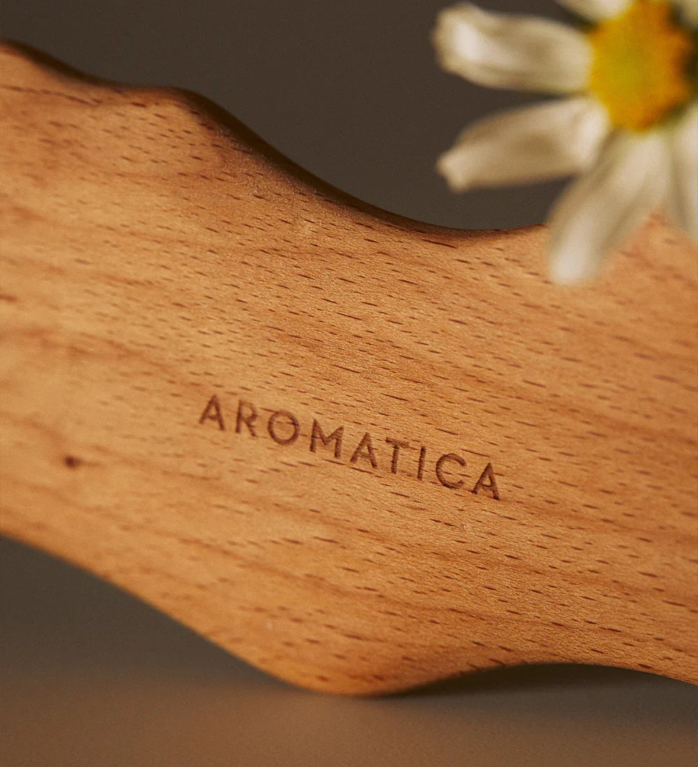 AROMATICA Dolphin Body Massager 1 pc