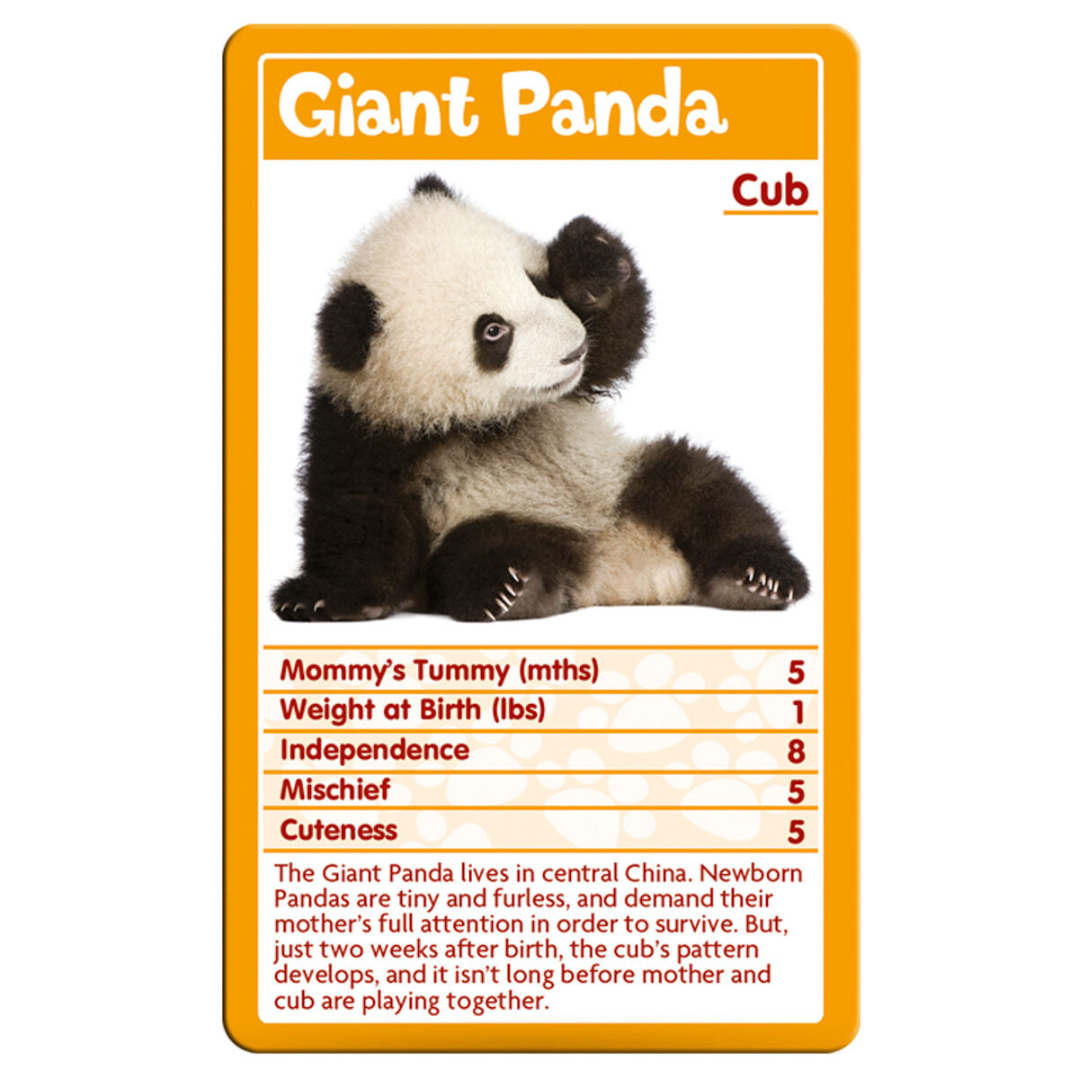 Top Trumps Baby Animals Card Game