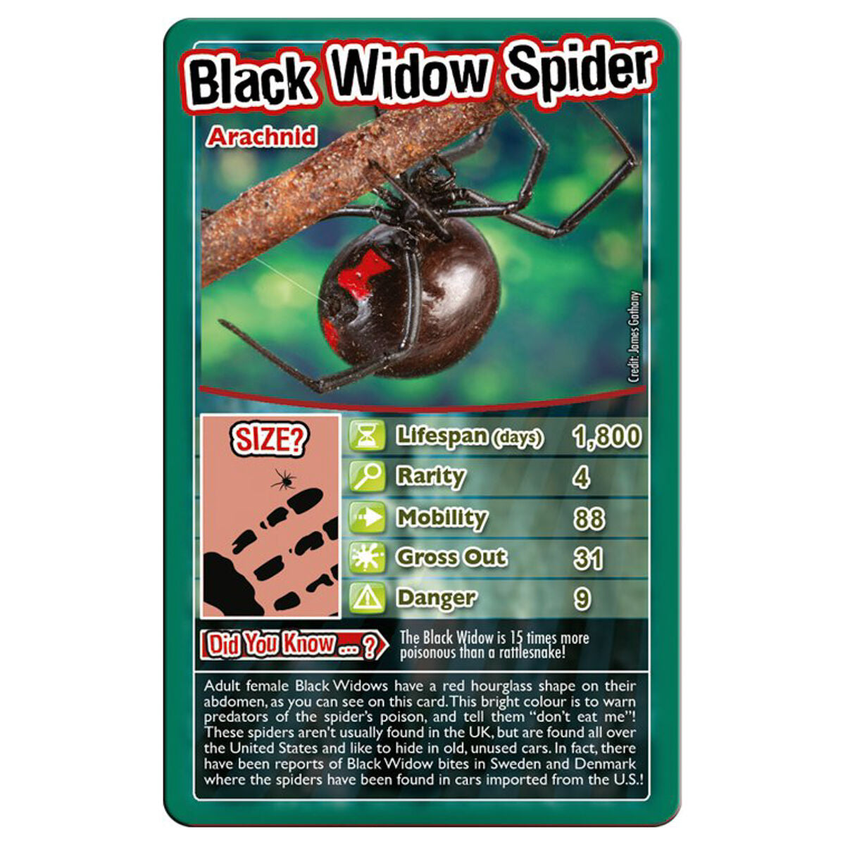 Top Trumps Bugs Card Game