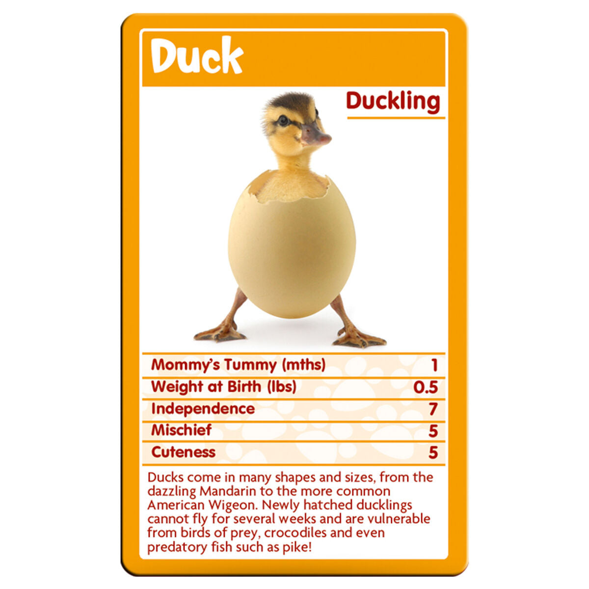 Top Trumps Baby Animals Card Game