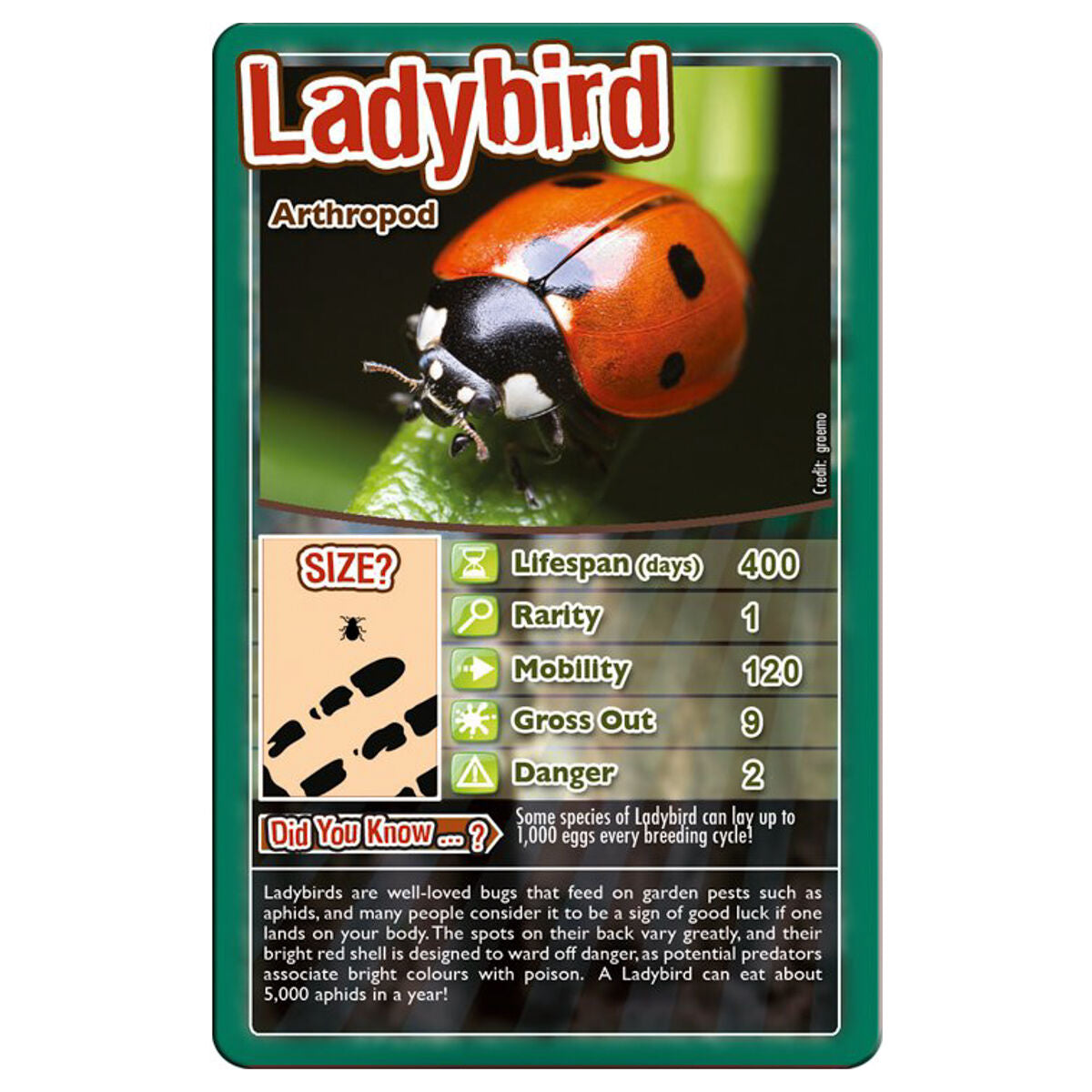 Top Trumps Bugs Card Game
