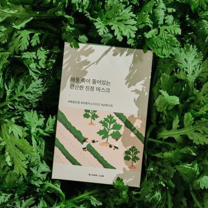 ROUND LAB Mugwort Calming Mask Set 25ml x 10 sheets