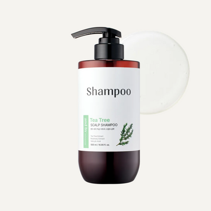 mixsoon and by mixsoon Tea Tree Scalp Shampoo 500ml