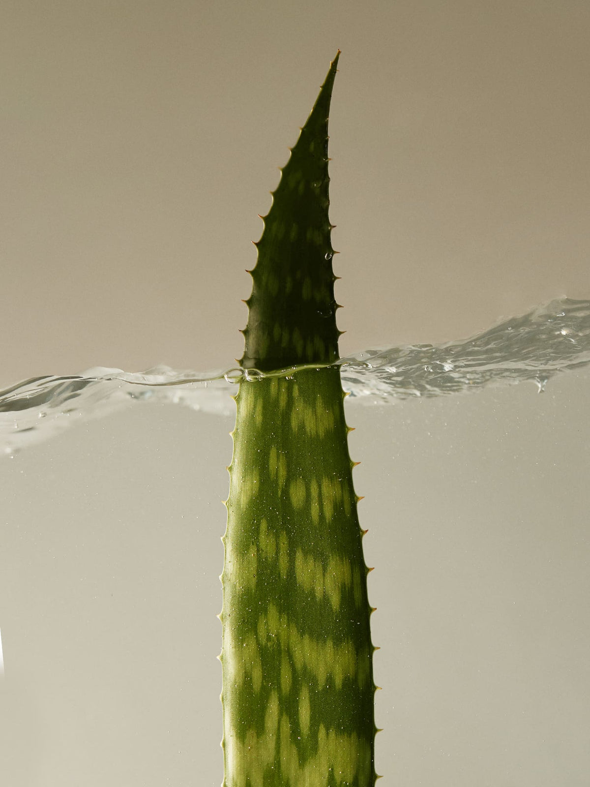 AROMATICA Soothing Aloe Vera Gel TUBE 180ml
