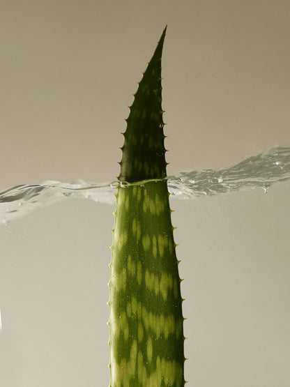 AROMATICA Soothing Aloe Vera Gel TUBE 180ml