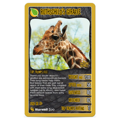 Top Trumps Awesome Animals Card Game