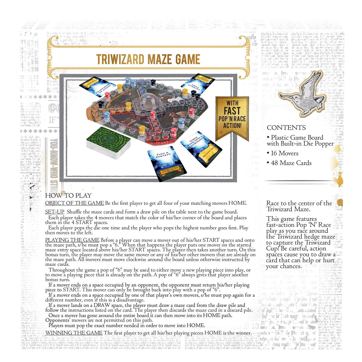 Harry Potter Triwizard Maze Game
